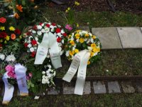 ein Bild aus dem Album